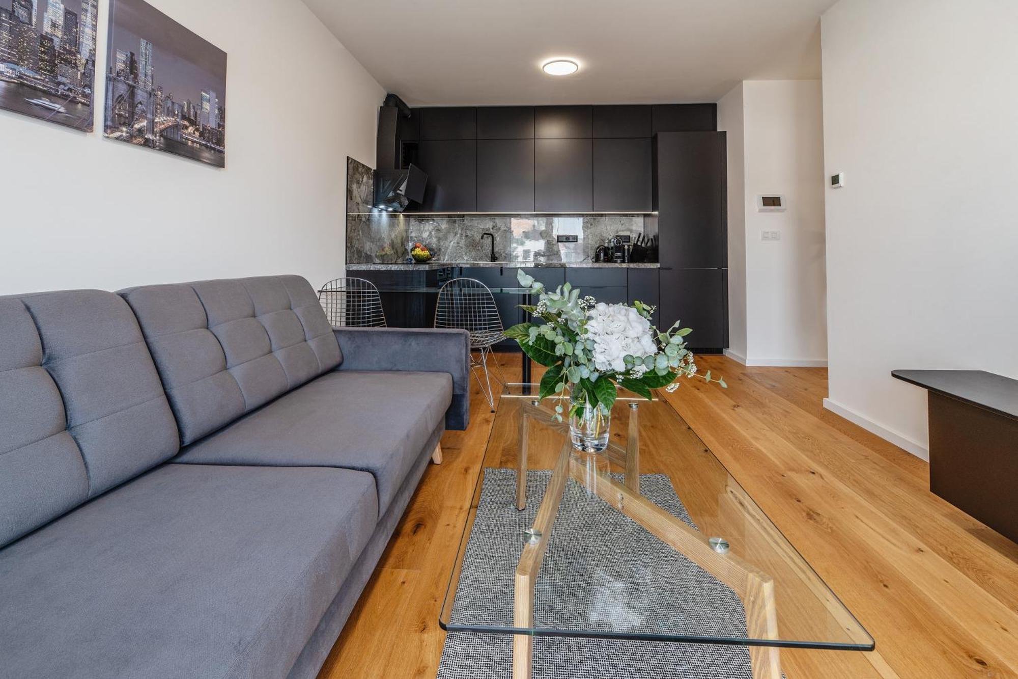 Zwirn Centre Apt,free Parking Business&pleasure Apartmán Bratislava